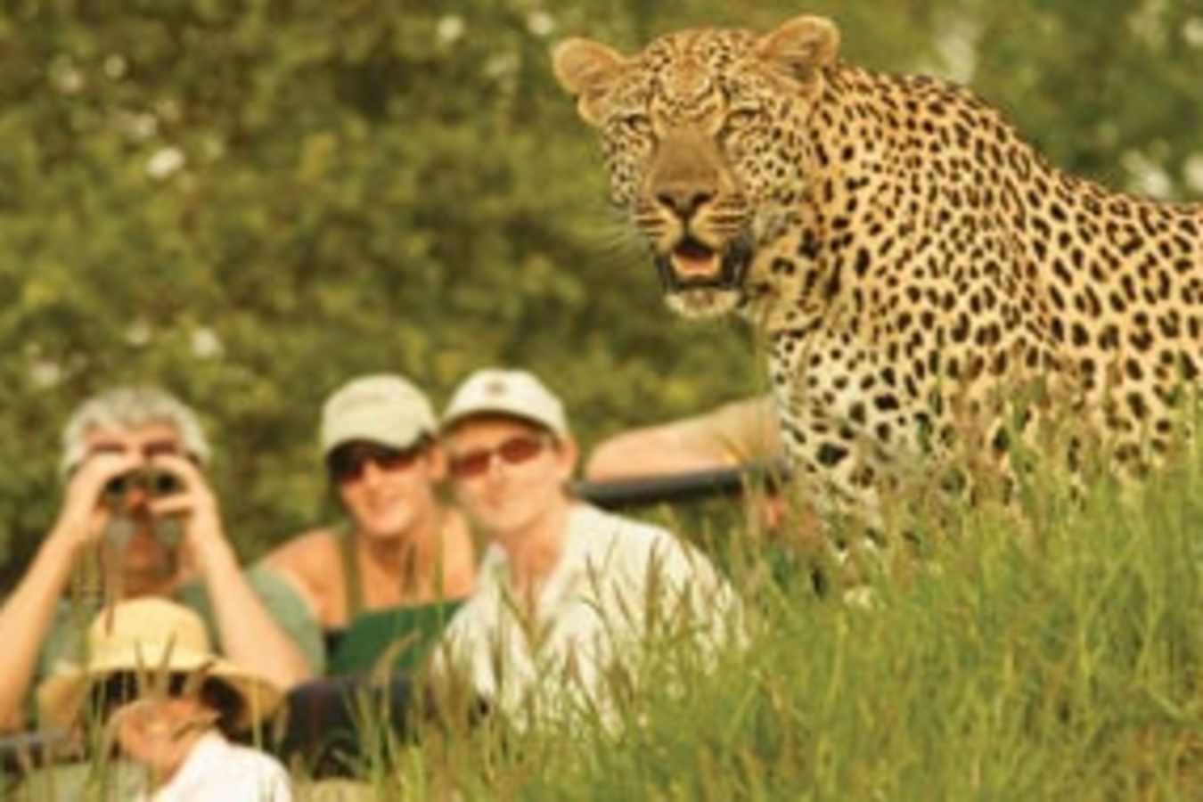 Londolozi Private Game Reserve- 29