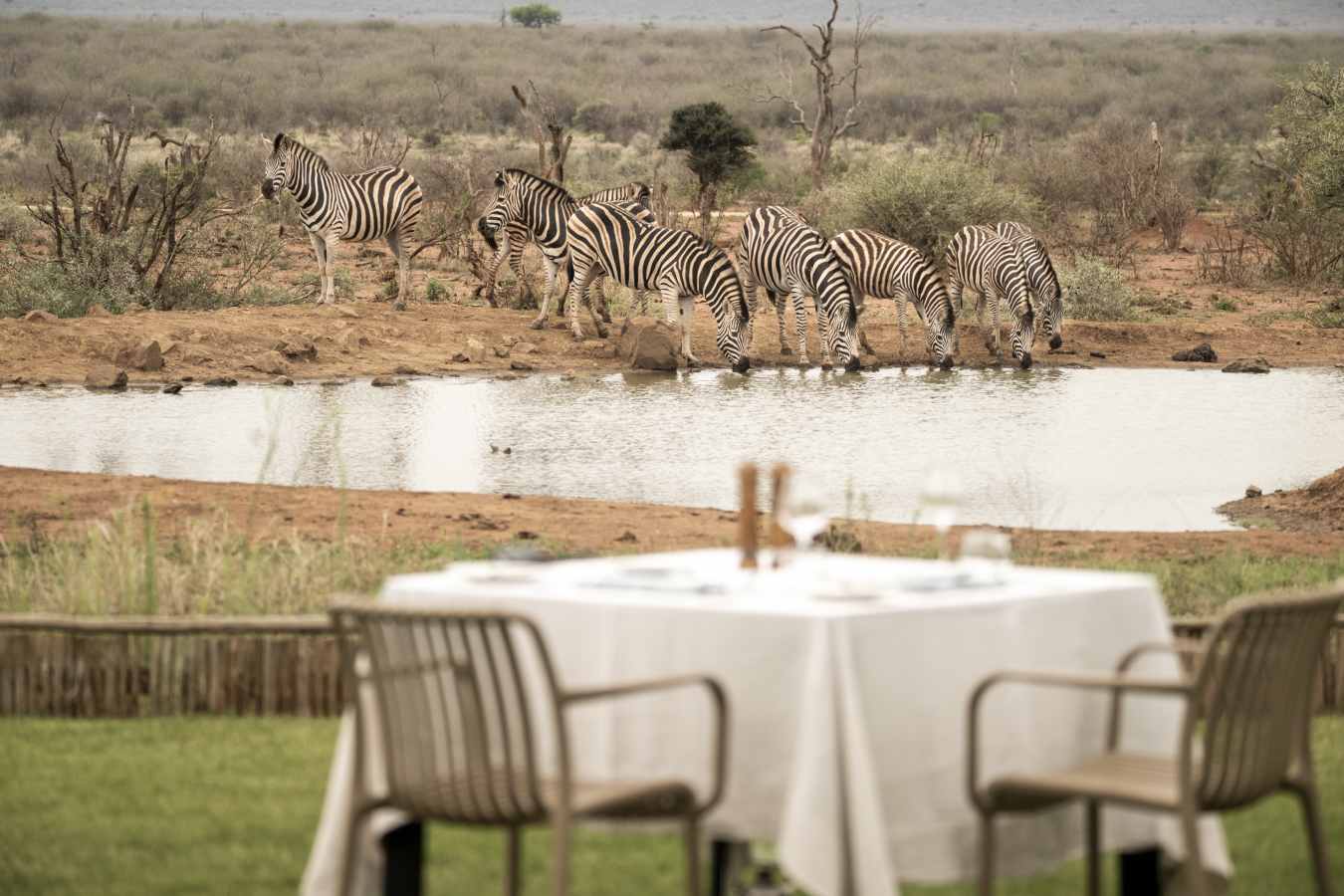 Madikwe Safari Lodge- 48