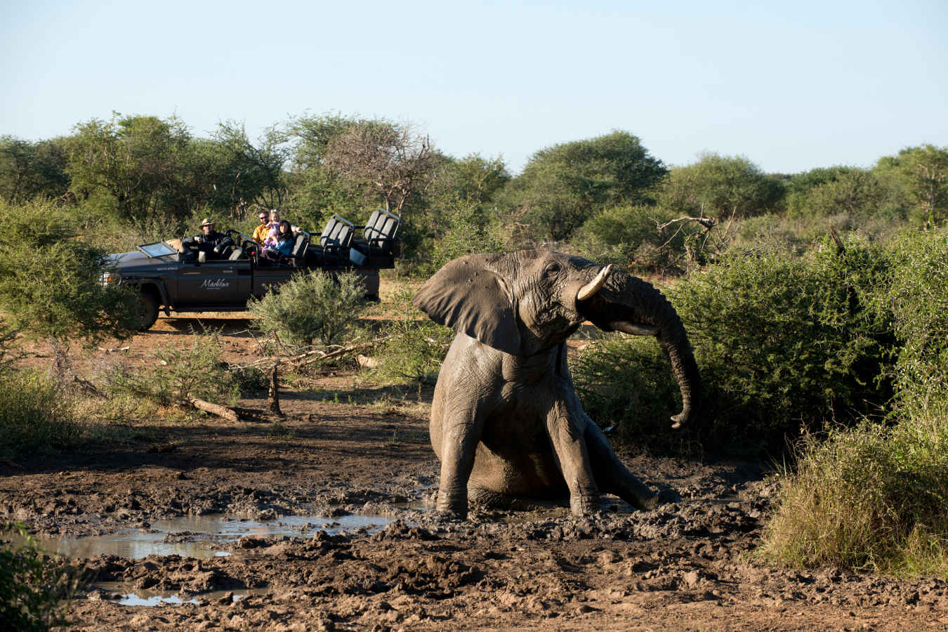 Madikwe Safari Lodge- 42