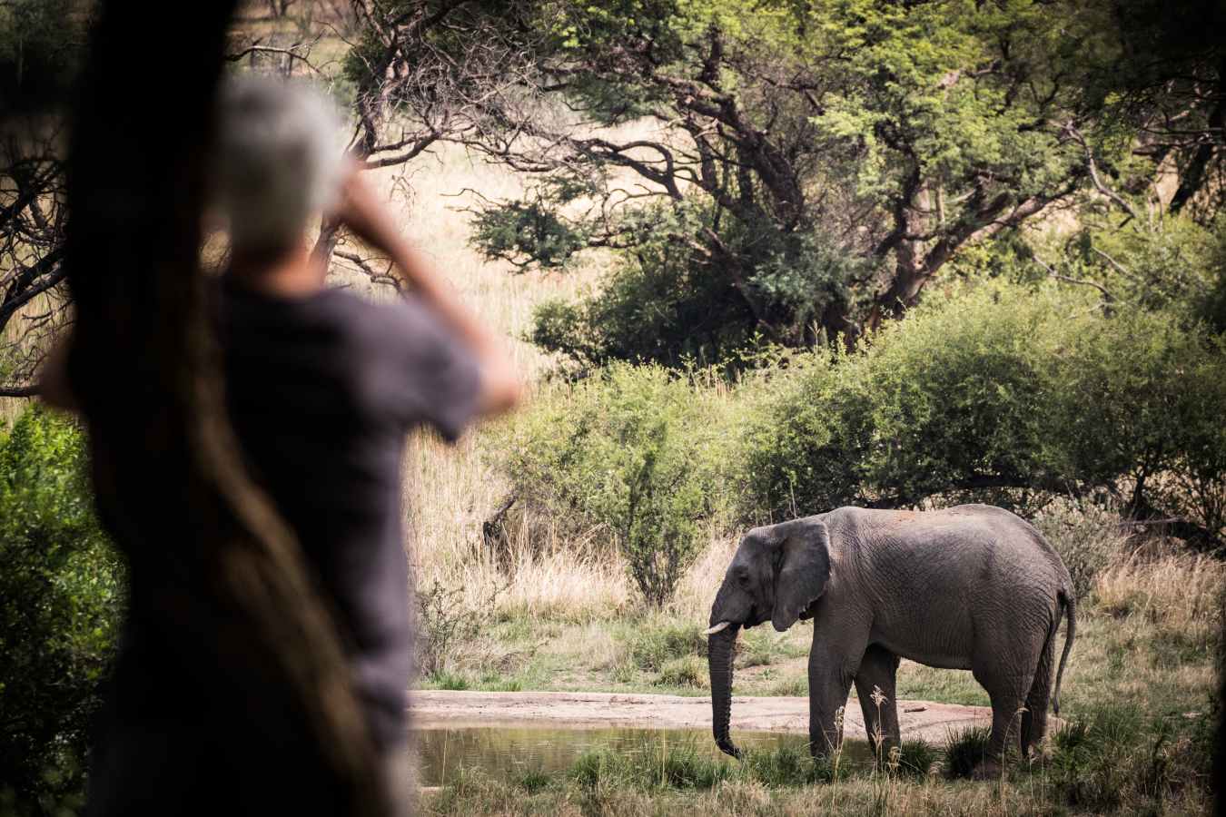Marataba Safari Lodge- 24