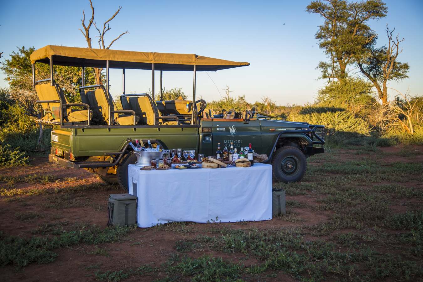 Molori Safari Lodge- 62