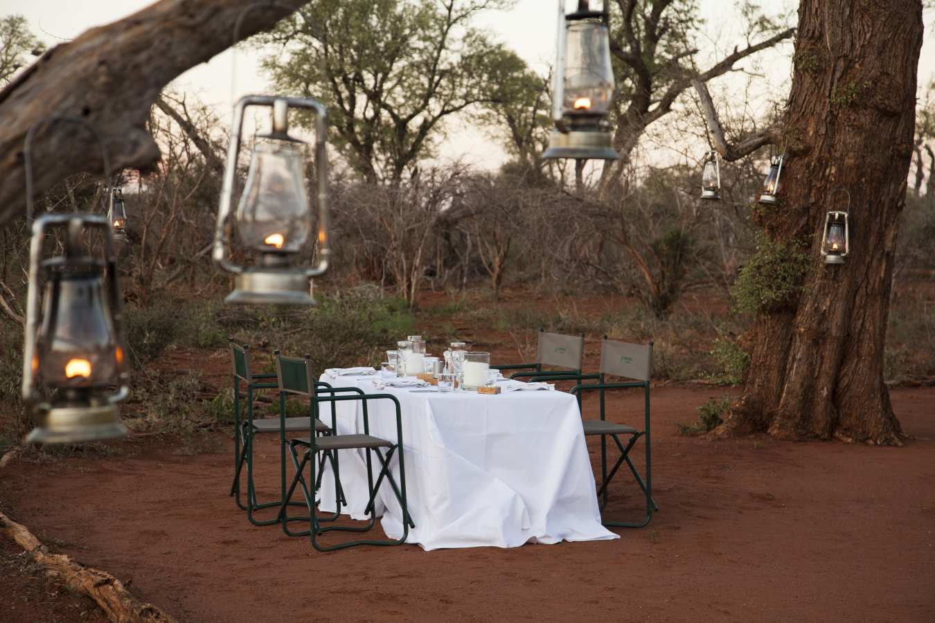Molori Safari Lodge- 60
