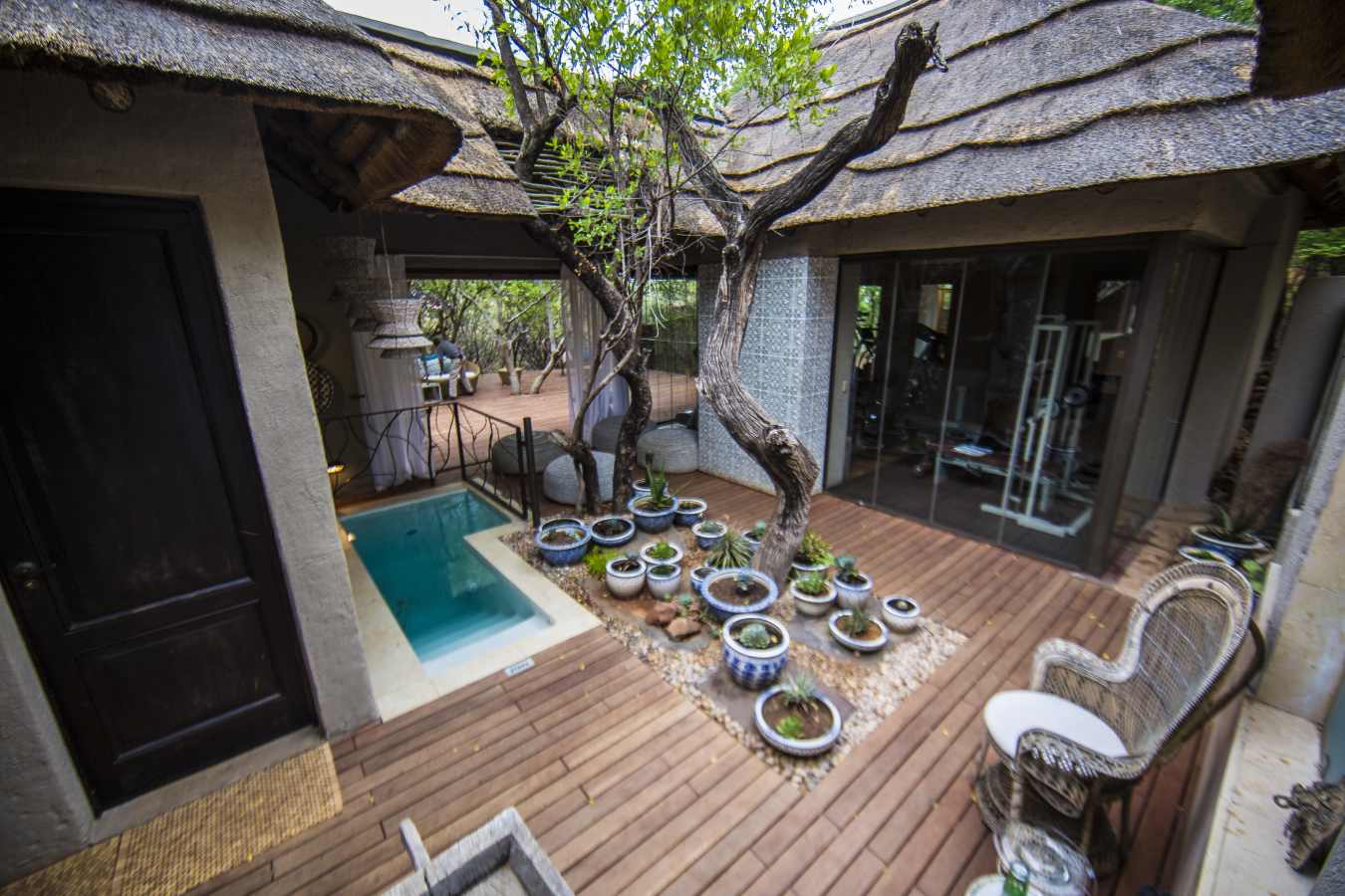 Molori Safari Lodge- 59
