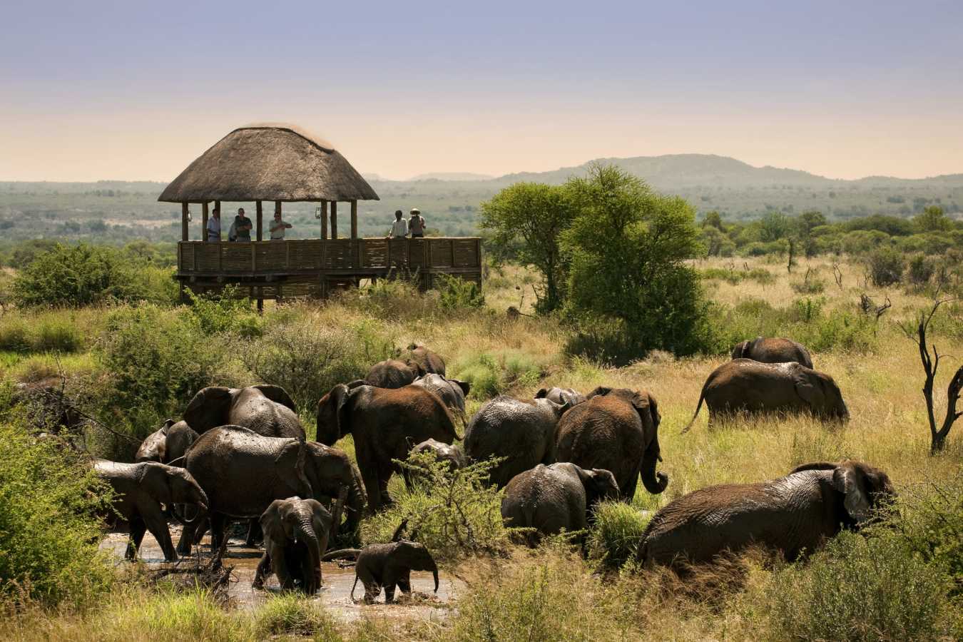 Morukuru Farm House- 29