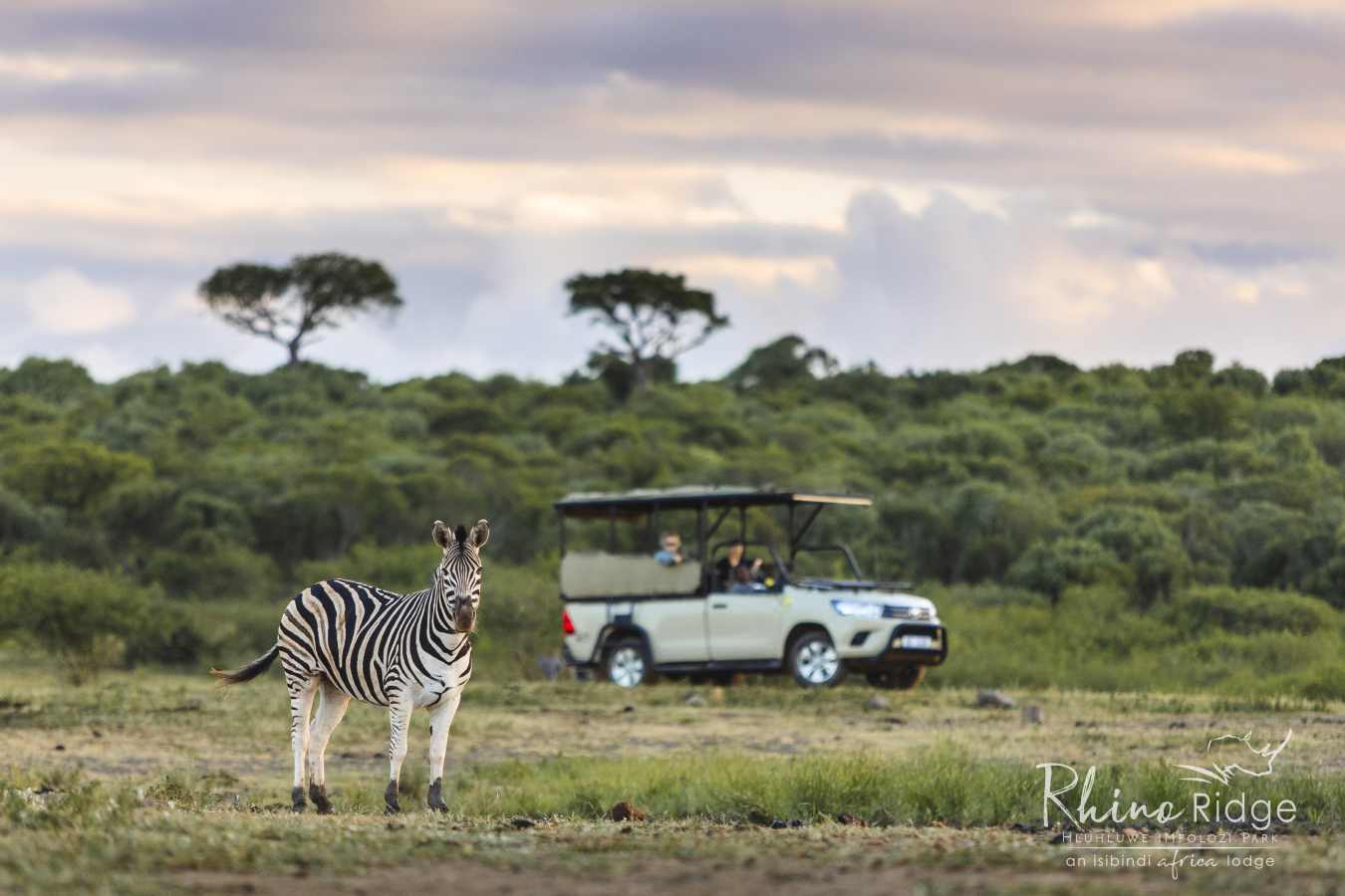 Rhino Ridge Safari Lodge- 38