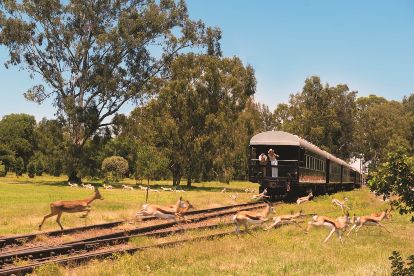 Game on tracks 