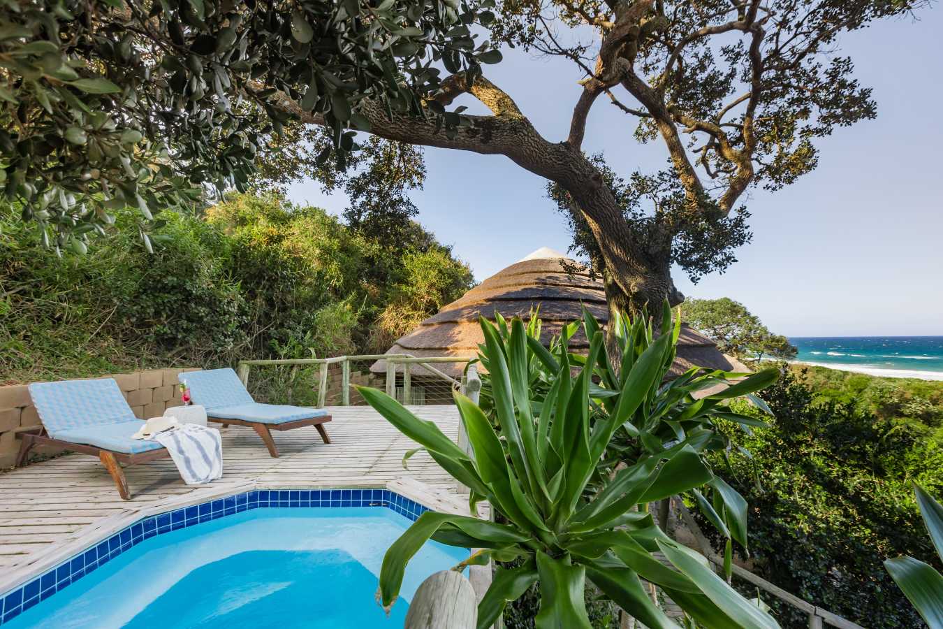 Thonga Beach Lodge- 15