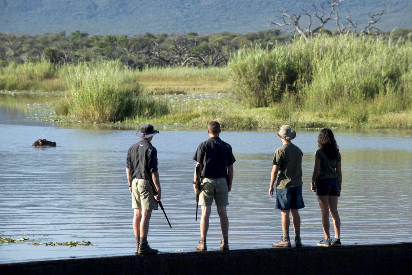 Walking safari at Marataba 