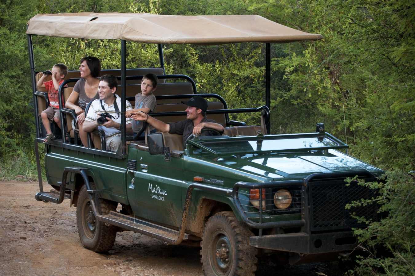 Game Drive Madikwe  