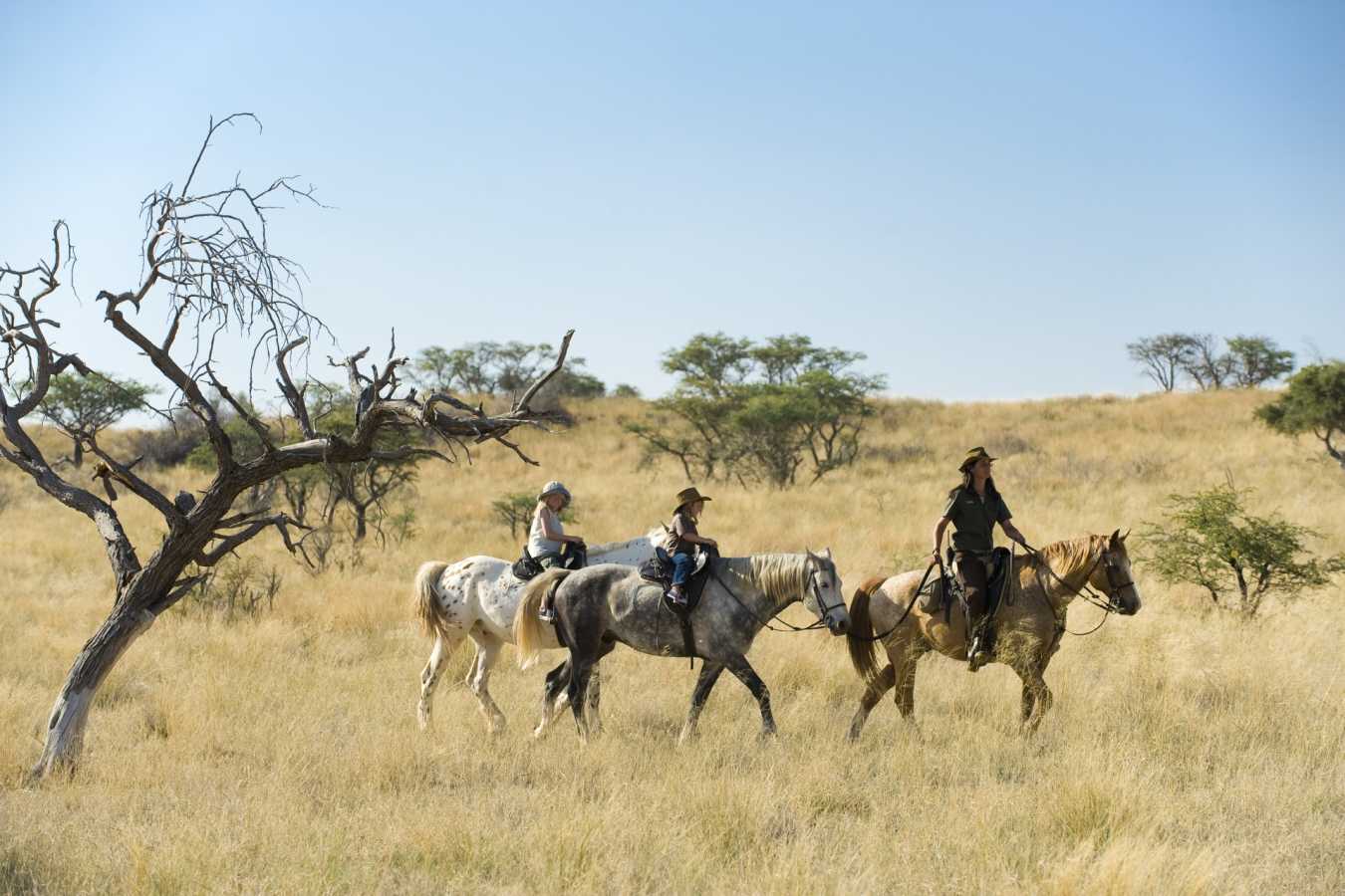 Tswalu riding 