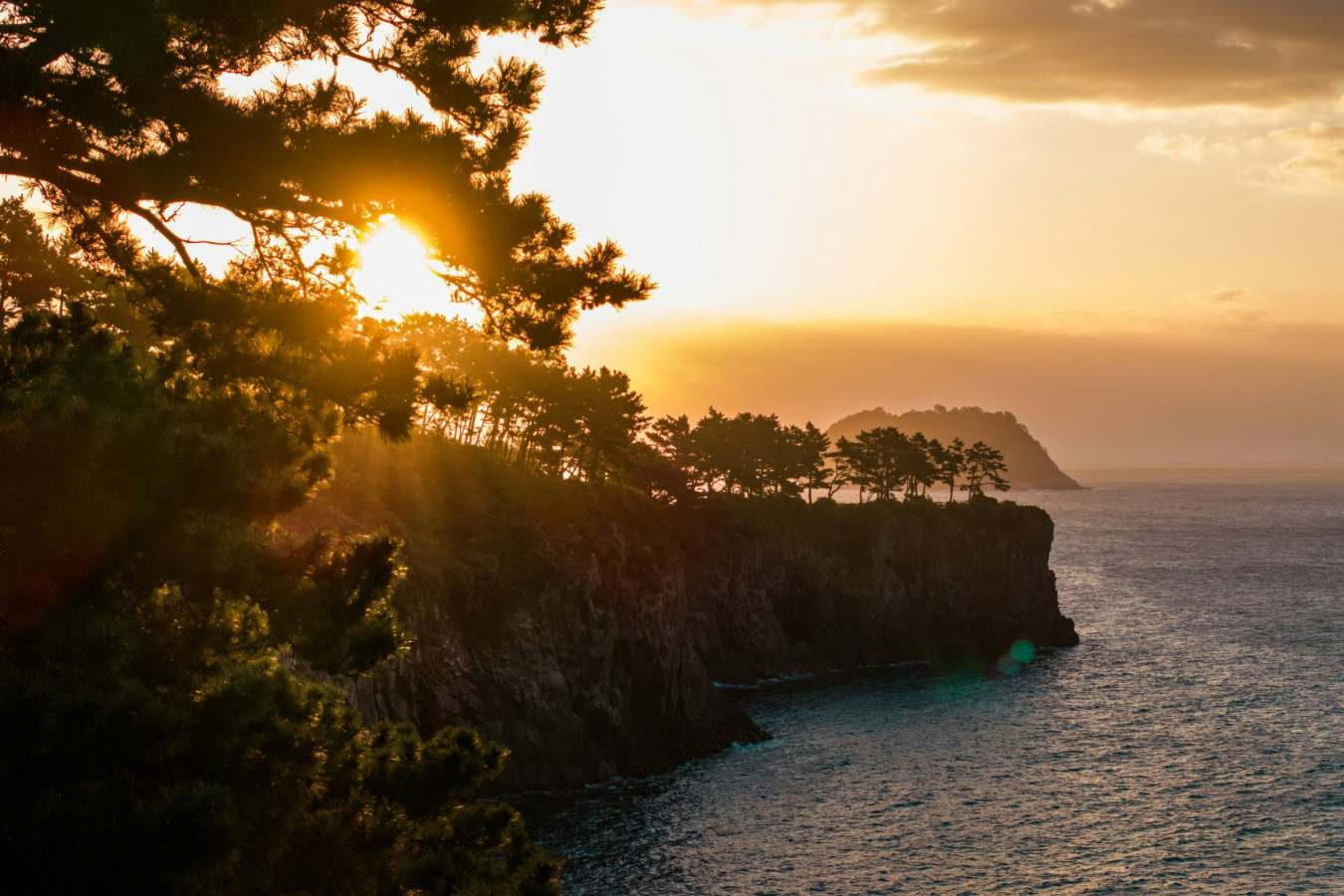 JW Marriott Jeju Resort & Spa- 143