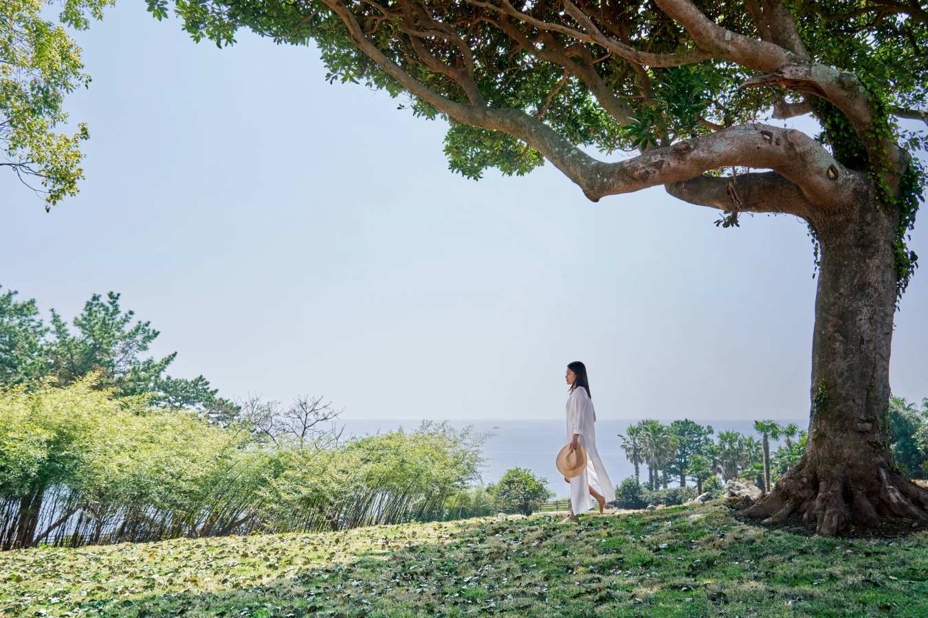 JW Marriott Jeju Resort & Spa- 71