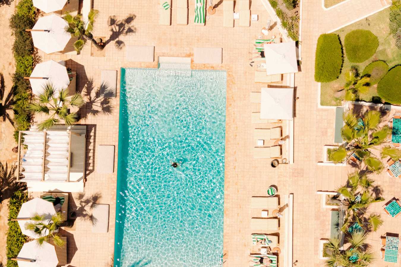 Petunia Ibiza- 25