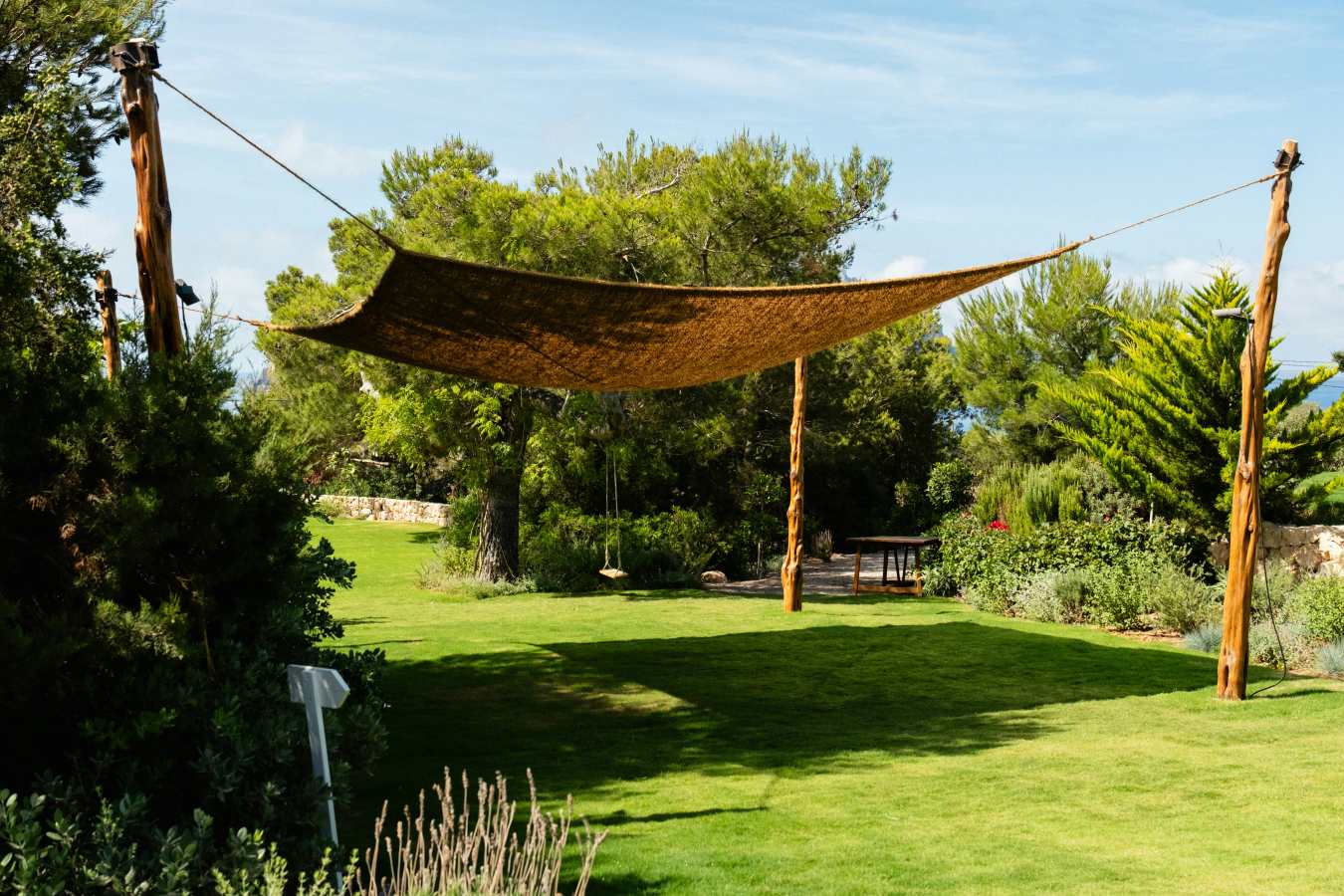 Petunia Ibiza- 18