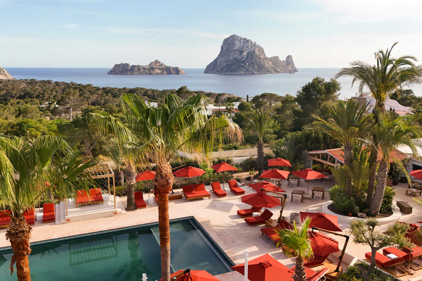 Petunia Ibiza- 142