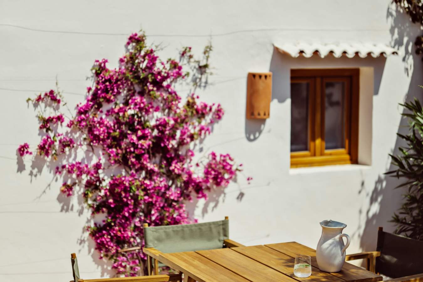 Petunia Ibiza- 99