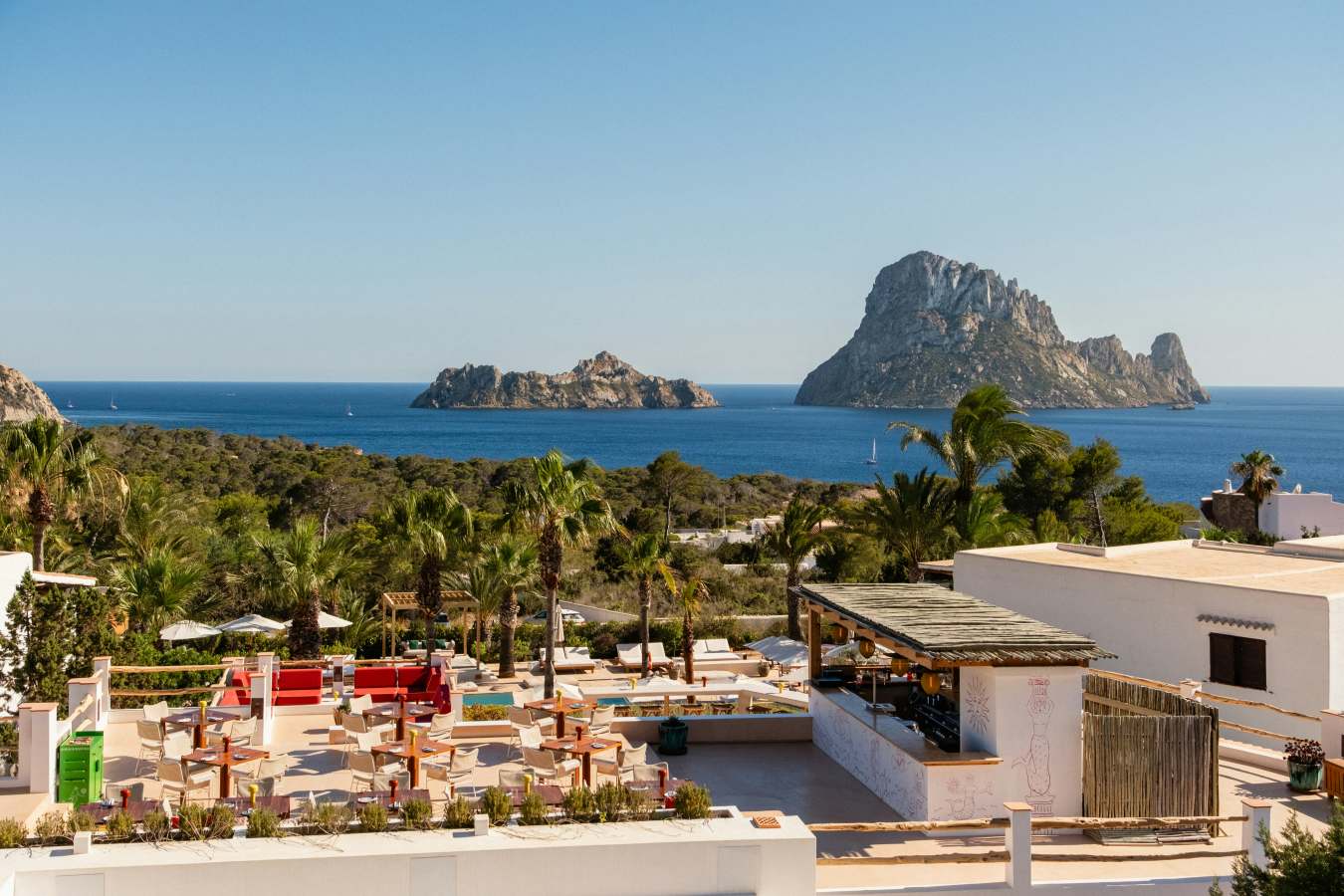 Petunia Ibiza- 20