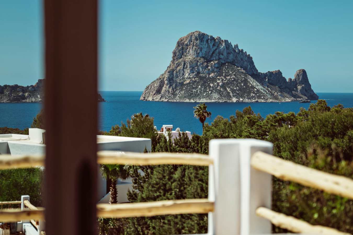 Petunia Ibiza- 13
