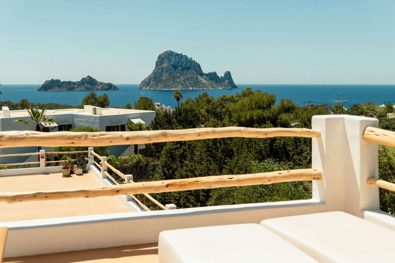 Petunia Ibiza- 52