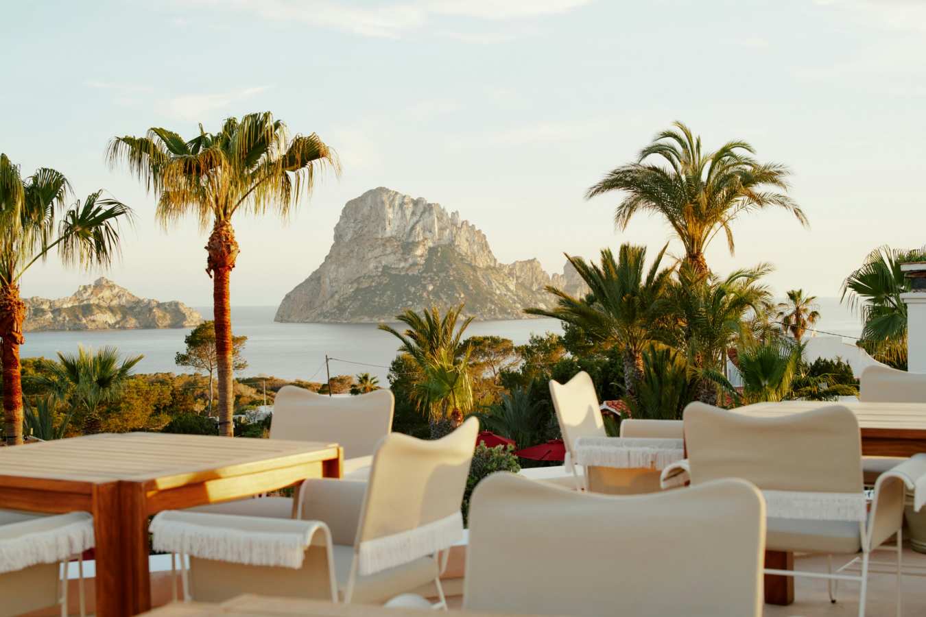 Petunia Ibiza- 136