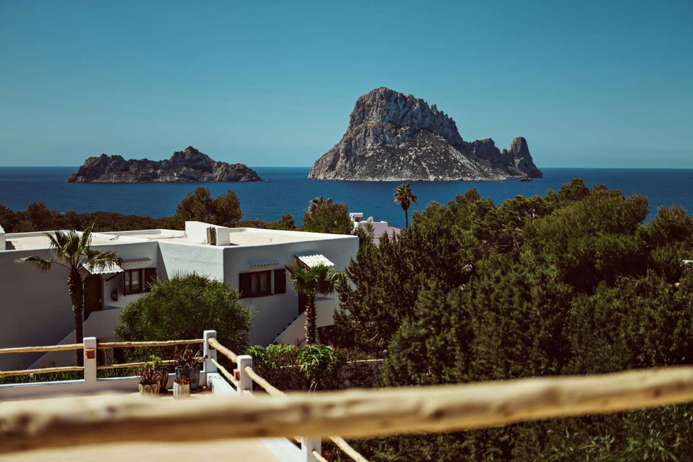 Petunia Ibiza- 62