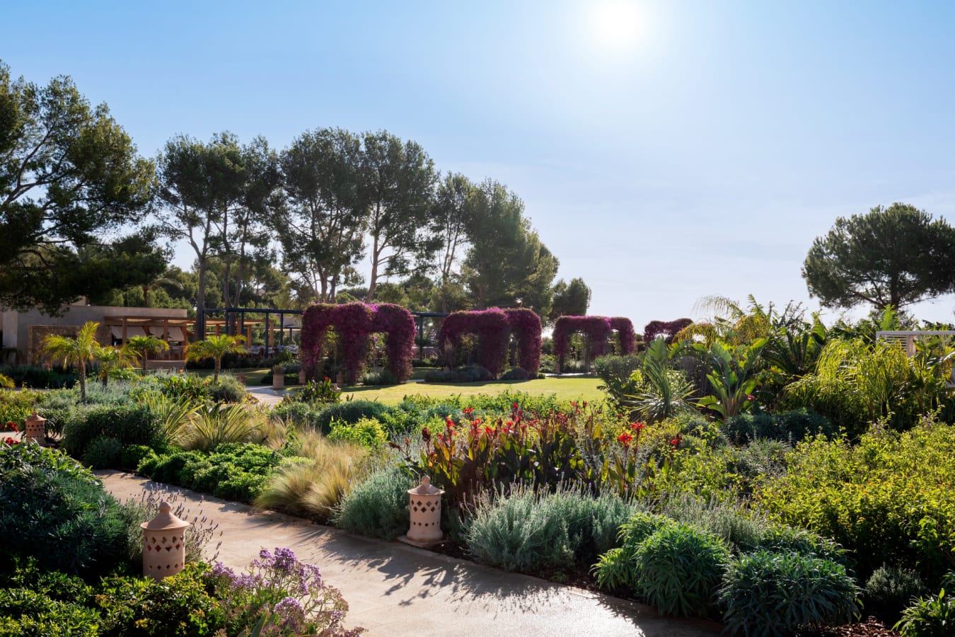 Garden 