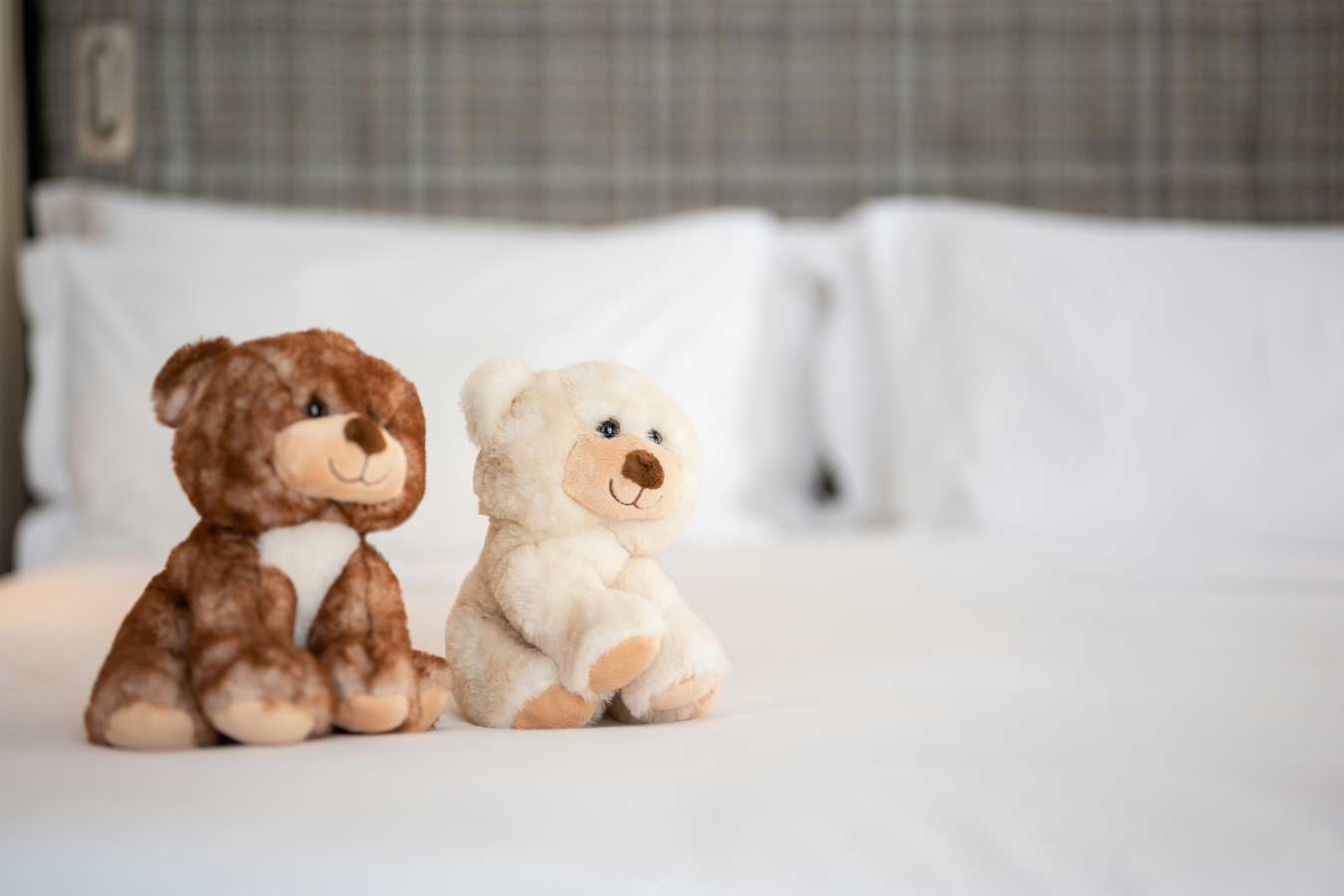 Urso Hotel & Spa- 39
