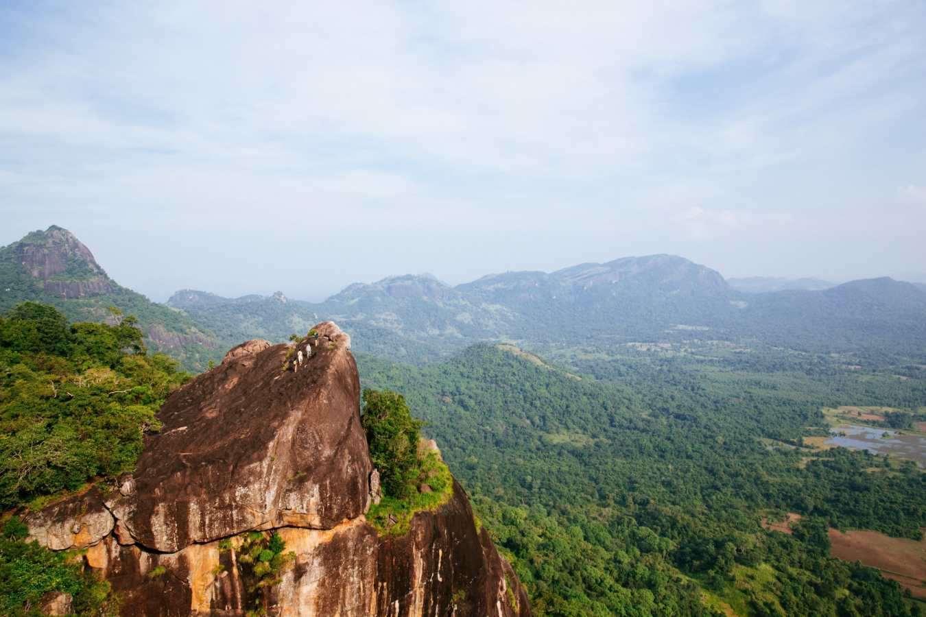 Monkey Mountain 