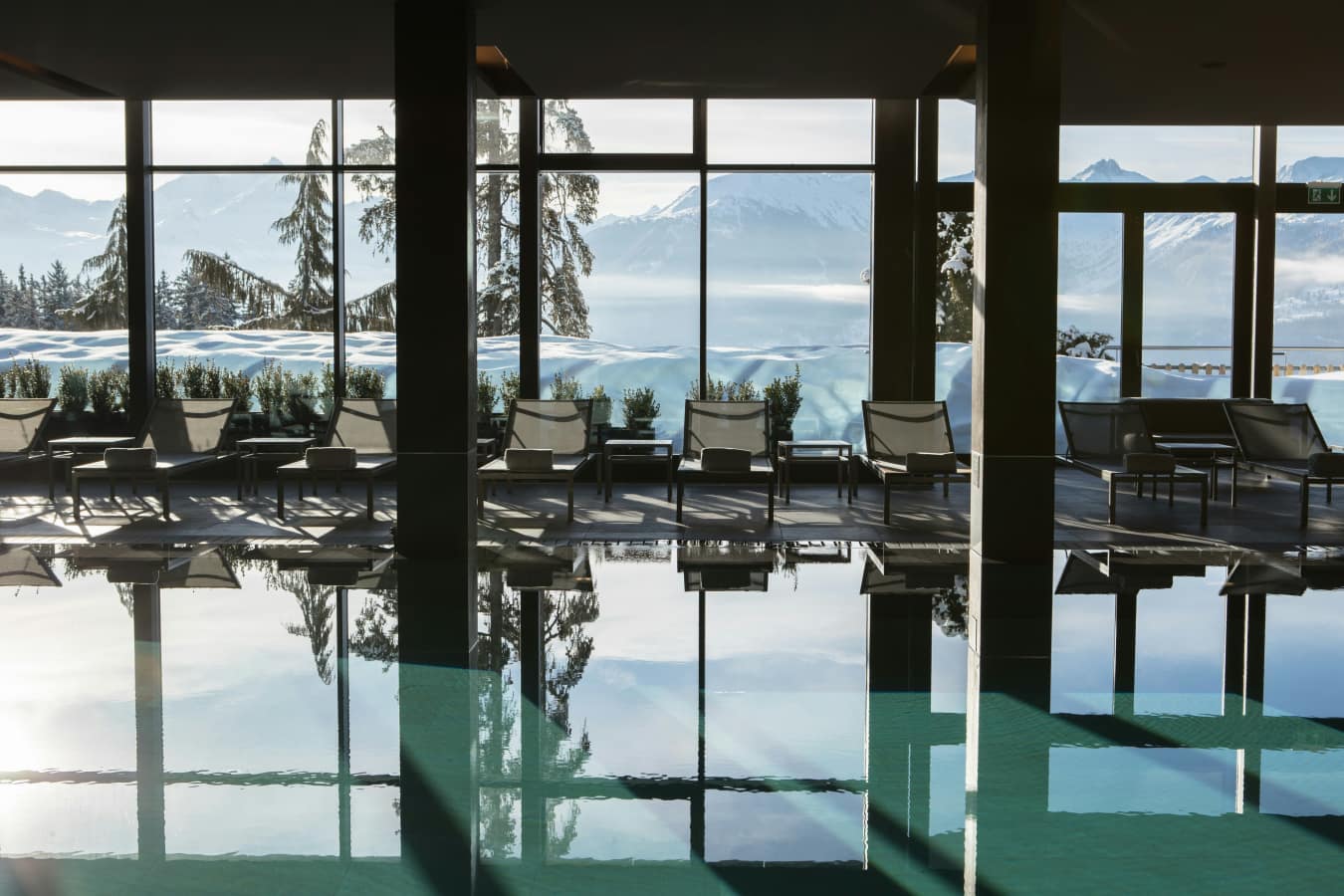 Crans Ambassador- 84