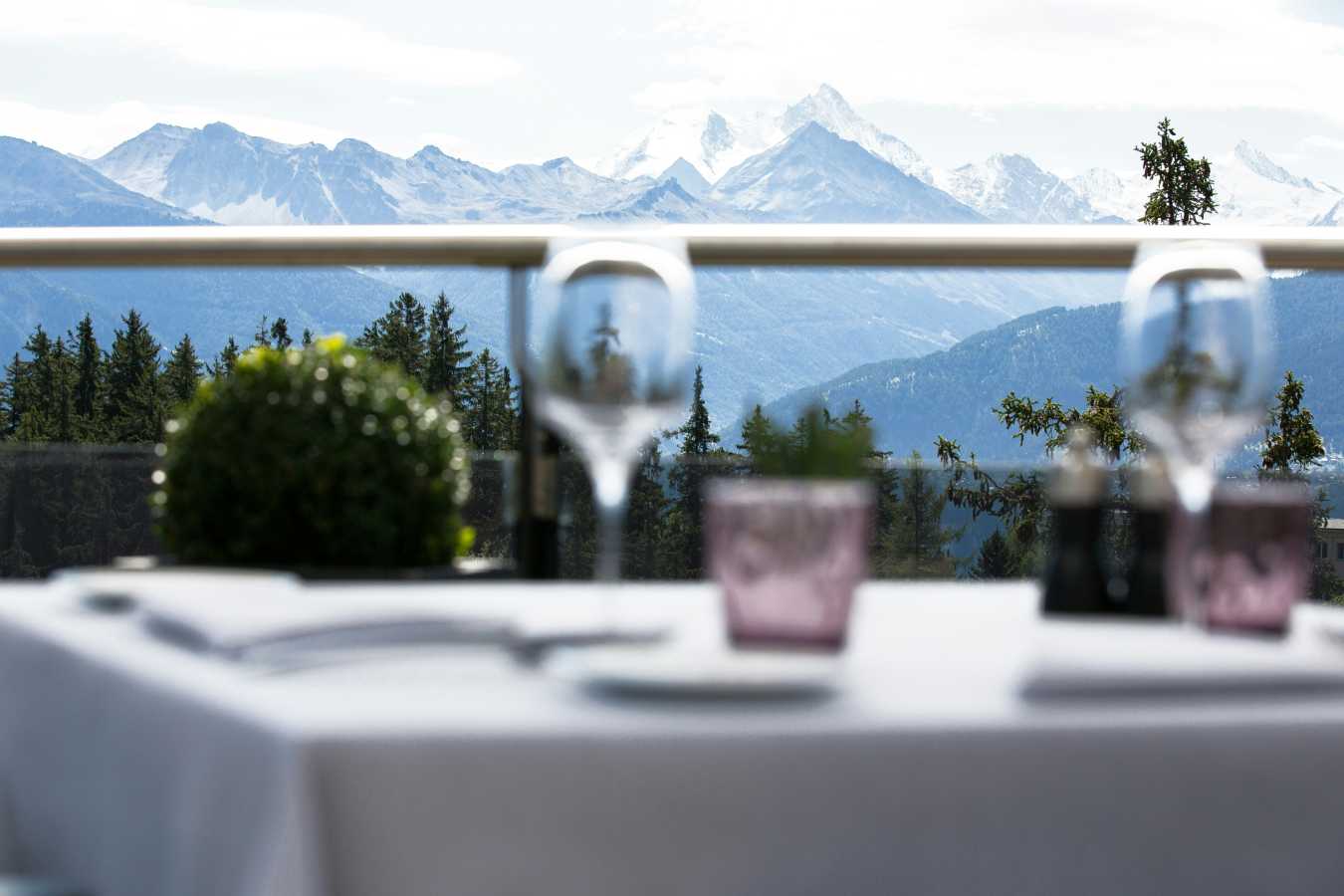 Crans Ambassador- 73