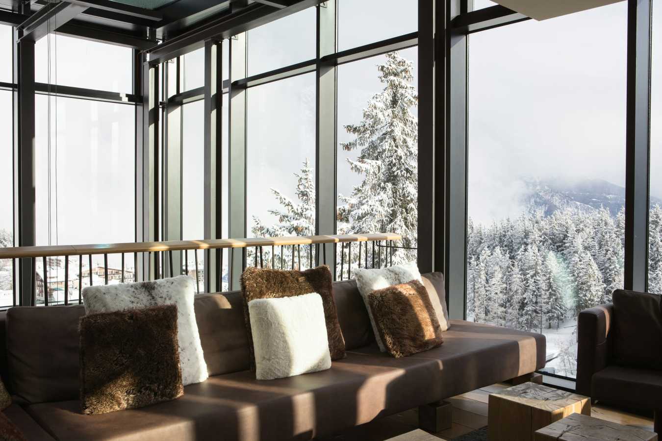 Crans Ambassador- 54