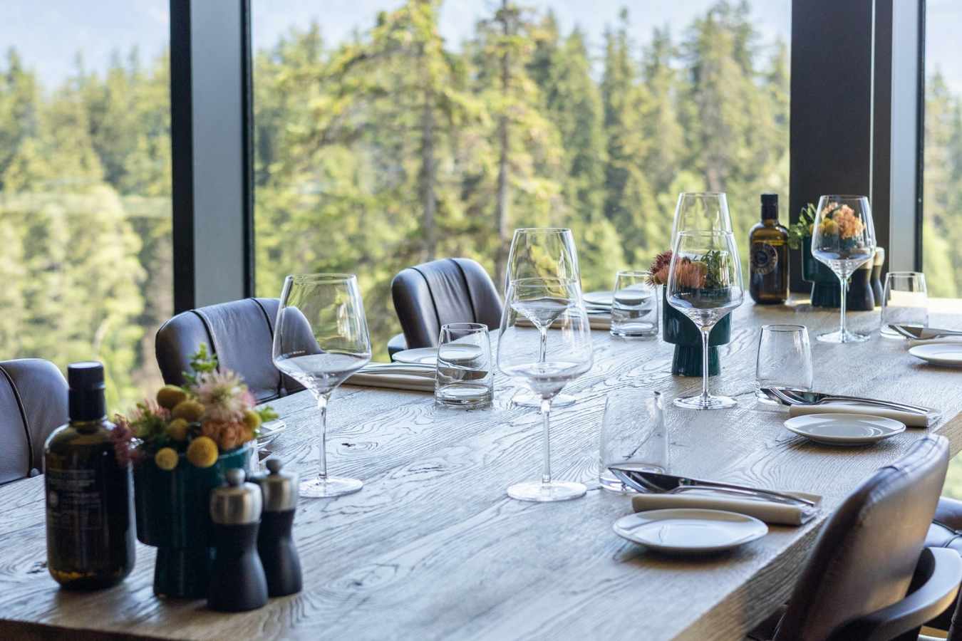Crans Ambassador- 56