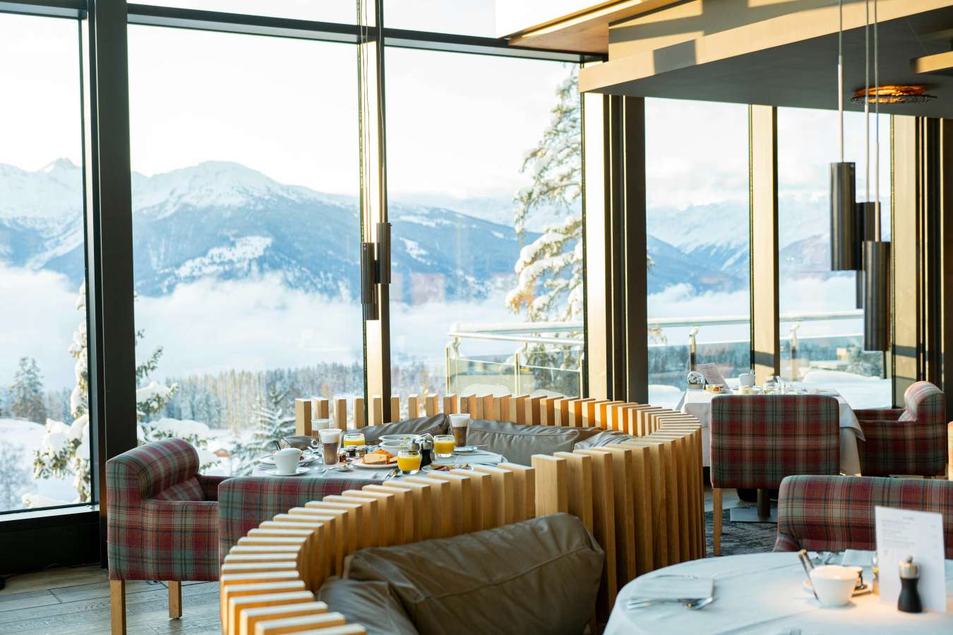 Crans Ambassador- 18