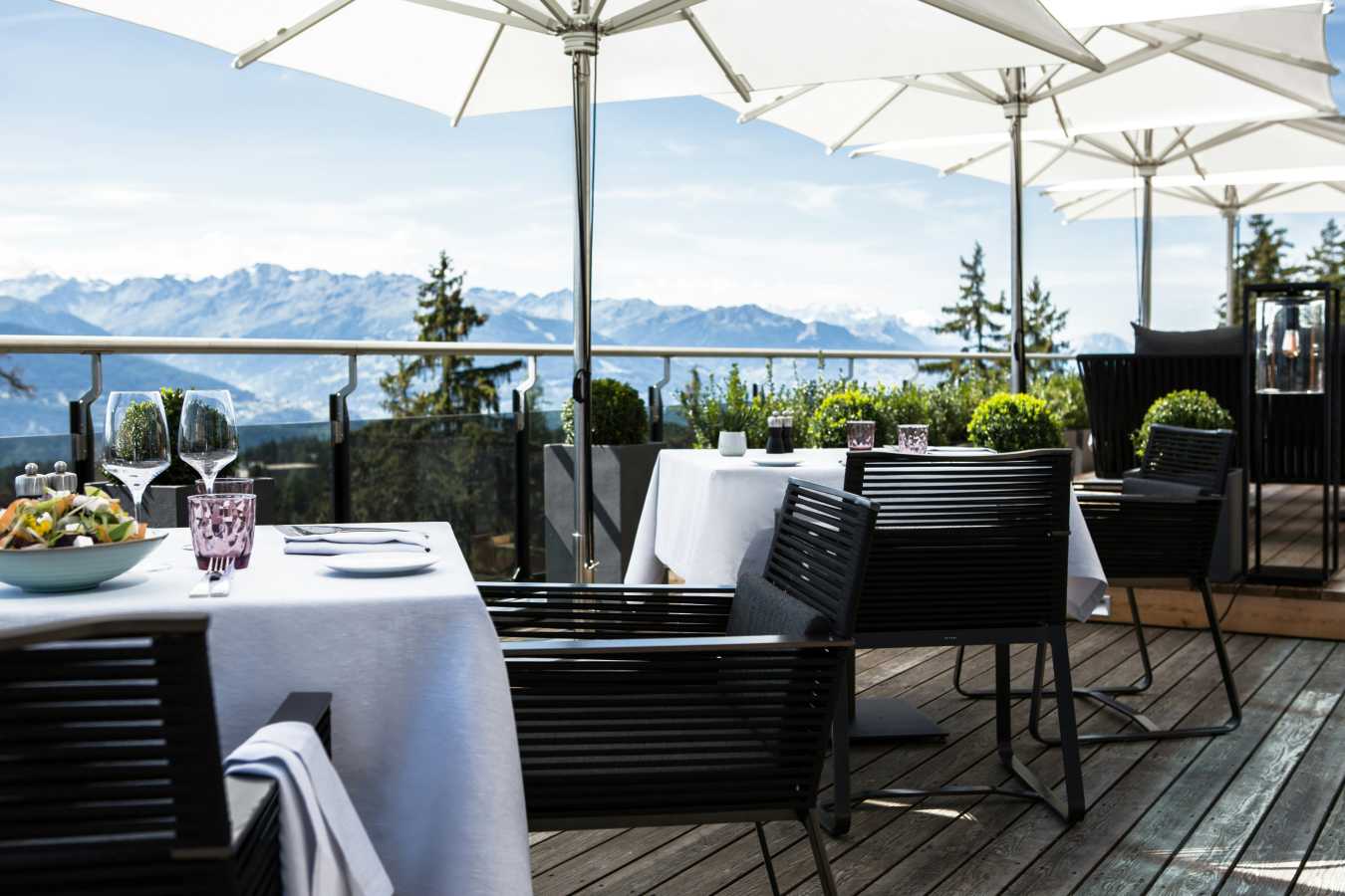 Crans Ambassador- 69