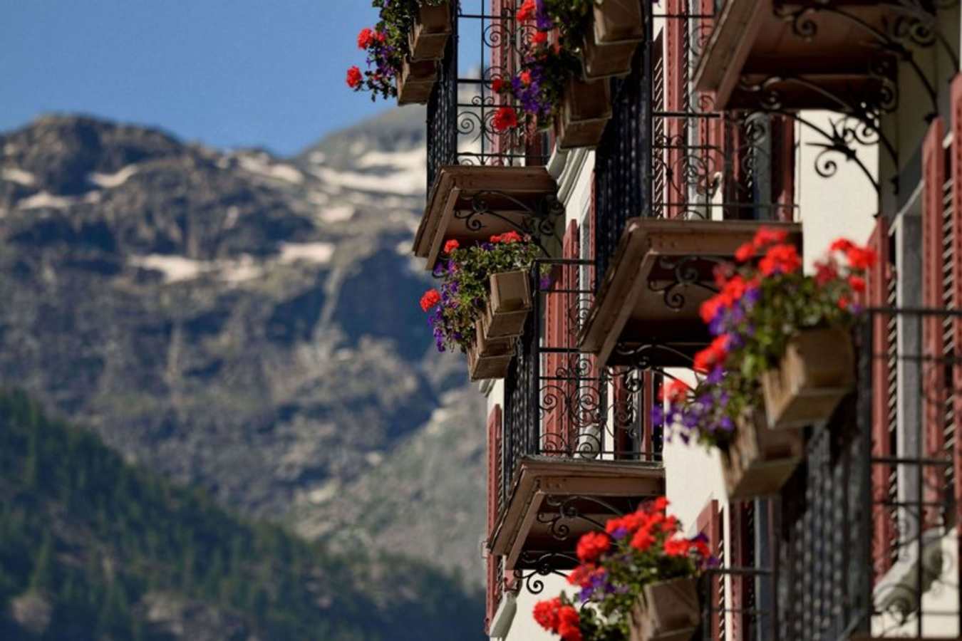 Monte Rosa- 31