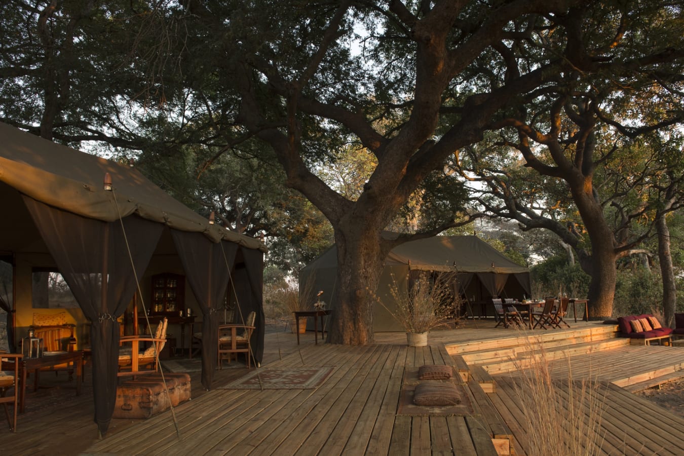 Main Camp 