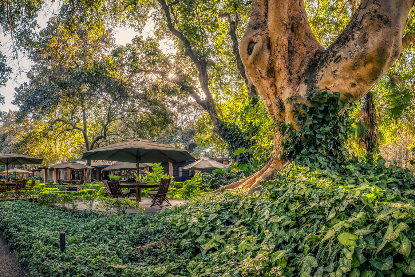 Elewana Arusha Coffee Lodge- 21
