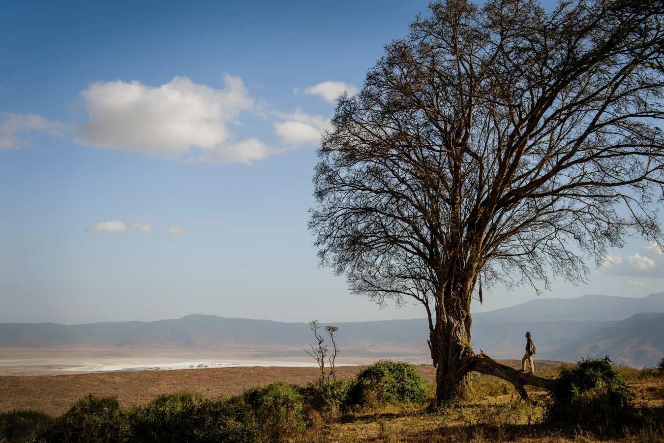 Entamanu Ngorongoro- 31