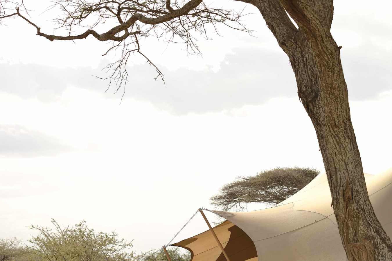 Namiri Plains Camp- 43