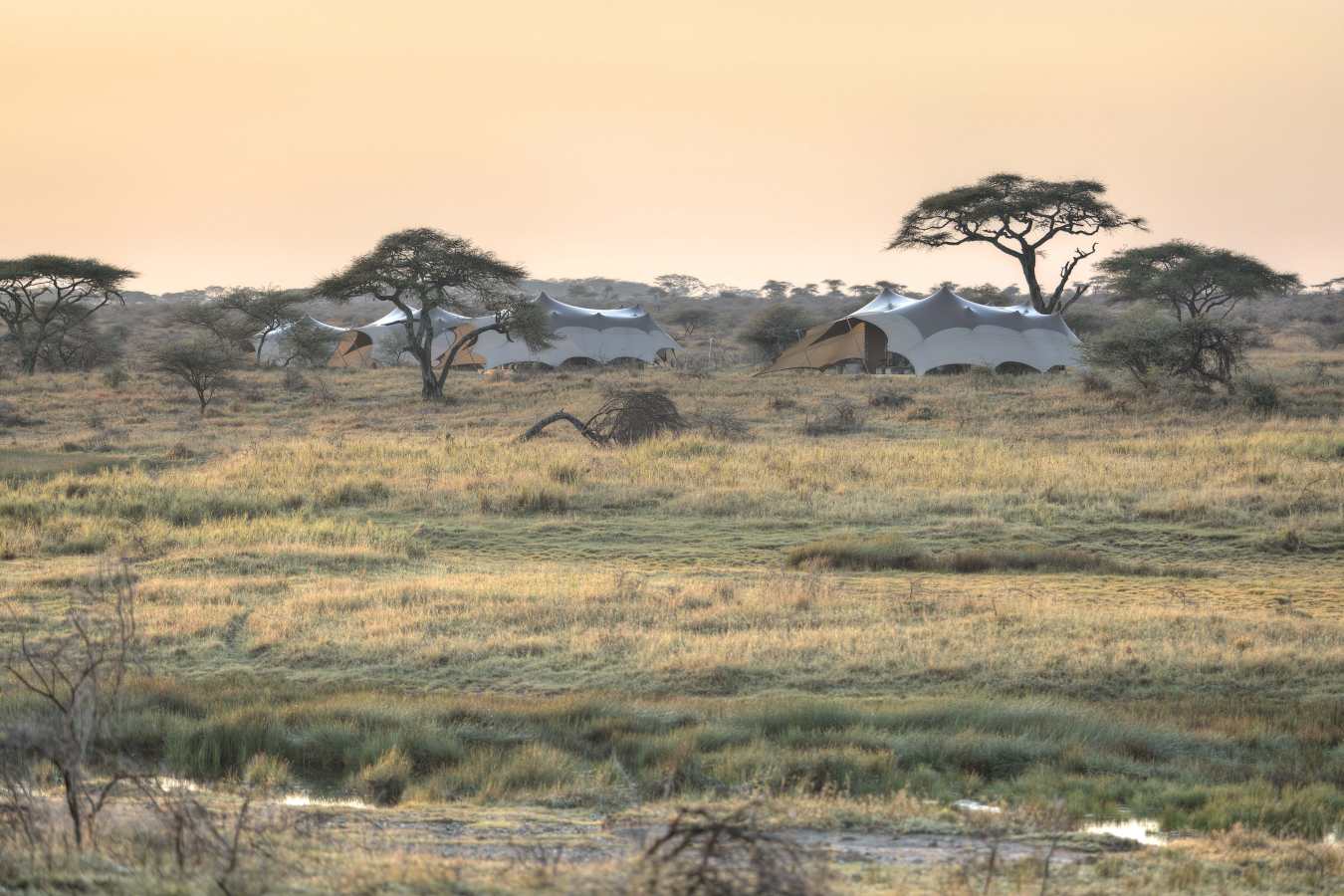Namiri Plains Camp- 32