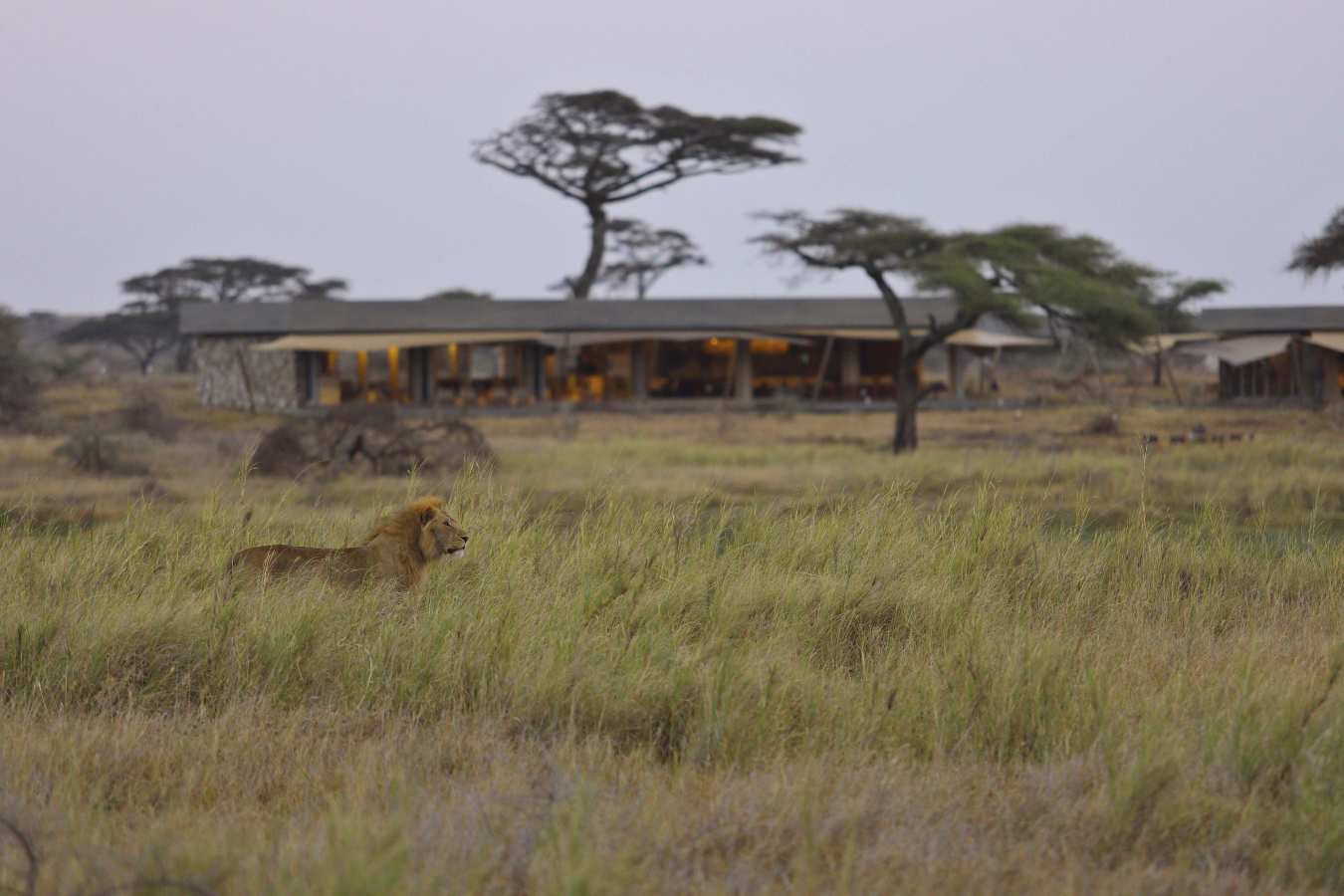 Namiri Plains Camp- 23