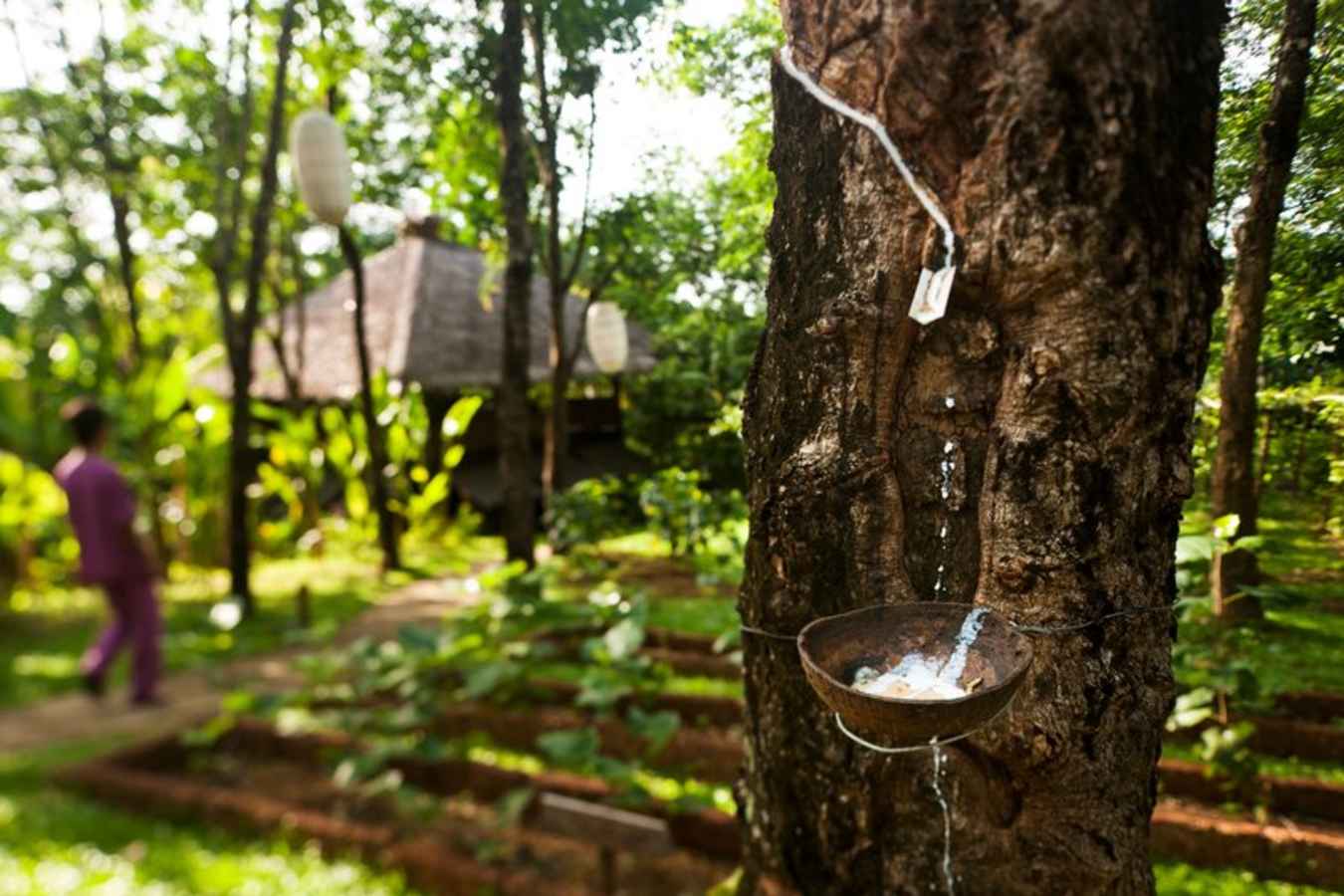 Six Senses Yao Noi- 102