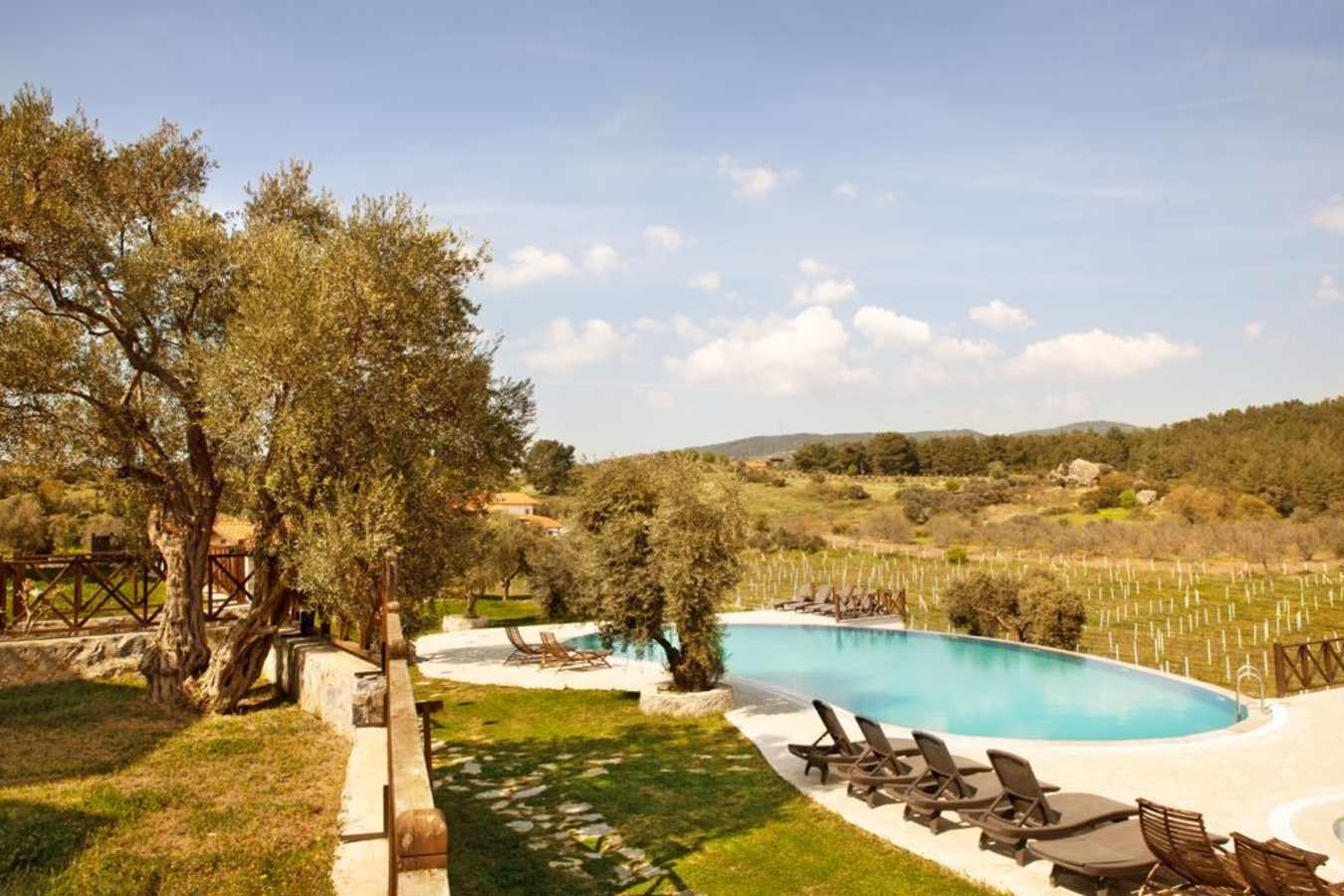 Pool and view 