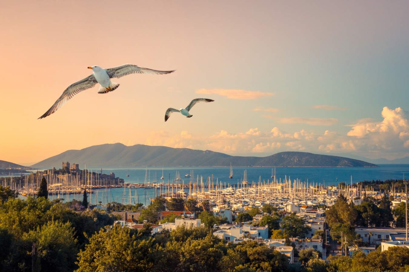 Bodrum Harbour