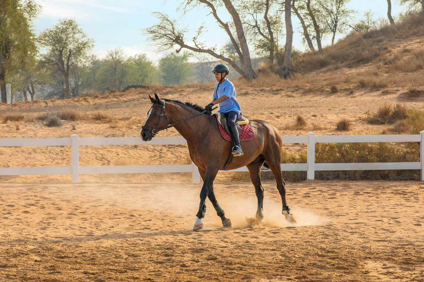 The Ritz-Carlton Ras Al Khaimah Al Wadi Desert- 90