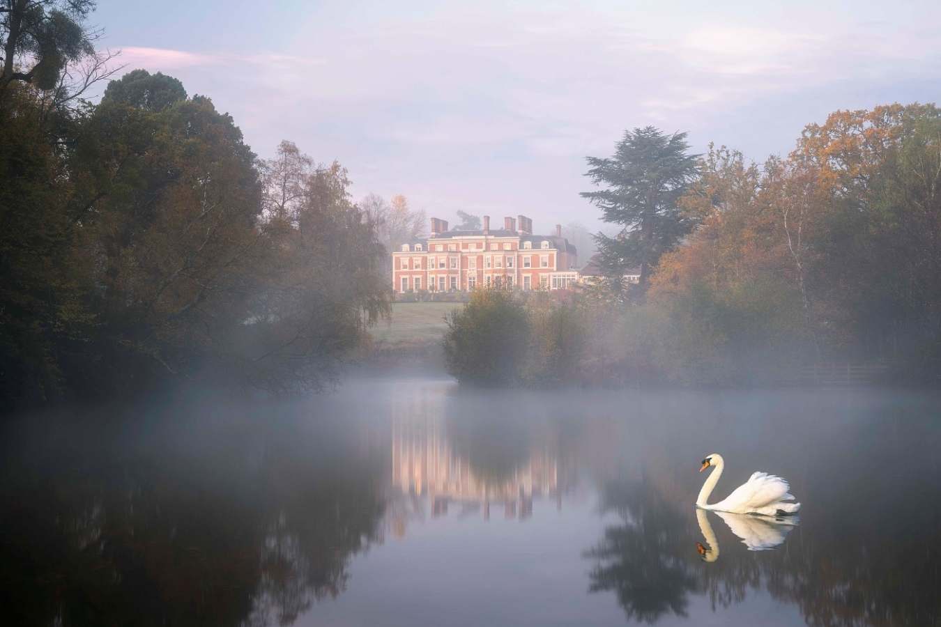  Heckfield Place- 53
