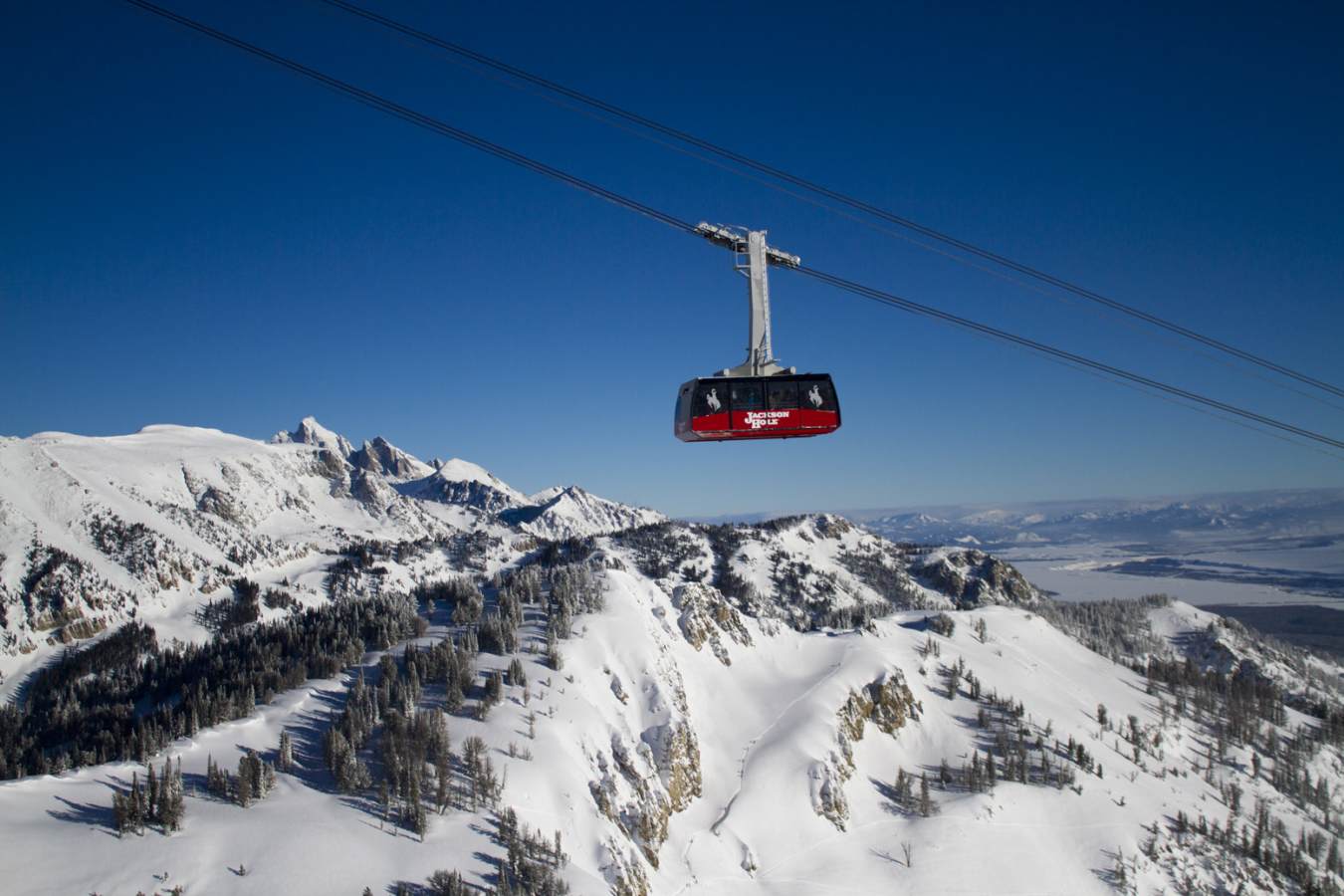 Cable car - Amangani      