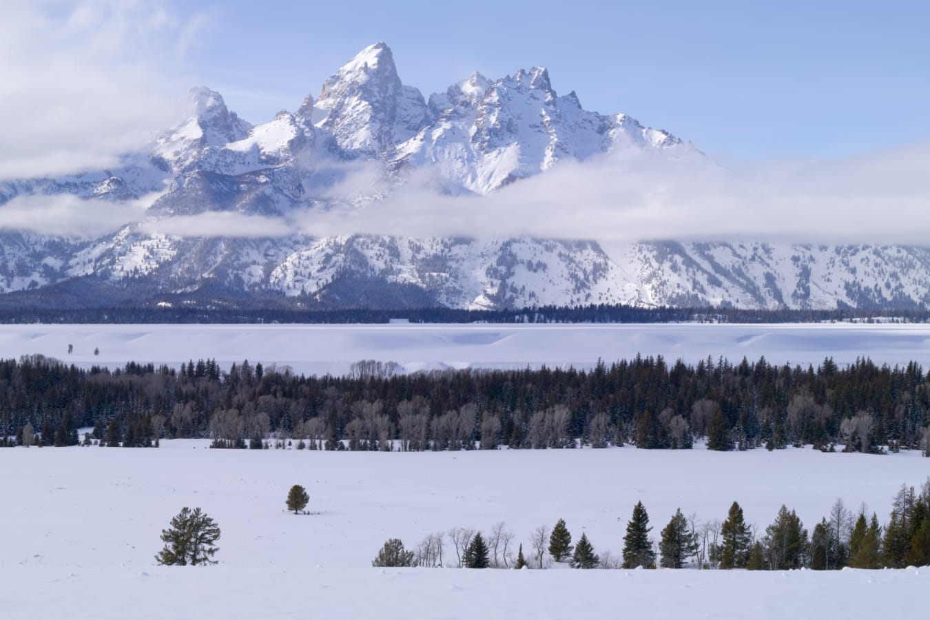 Winter Landscape 
