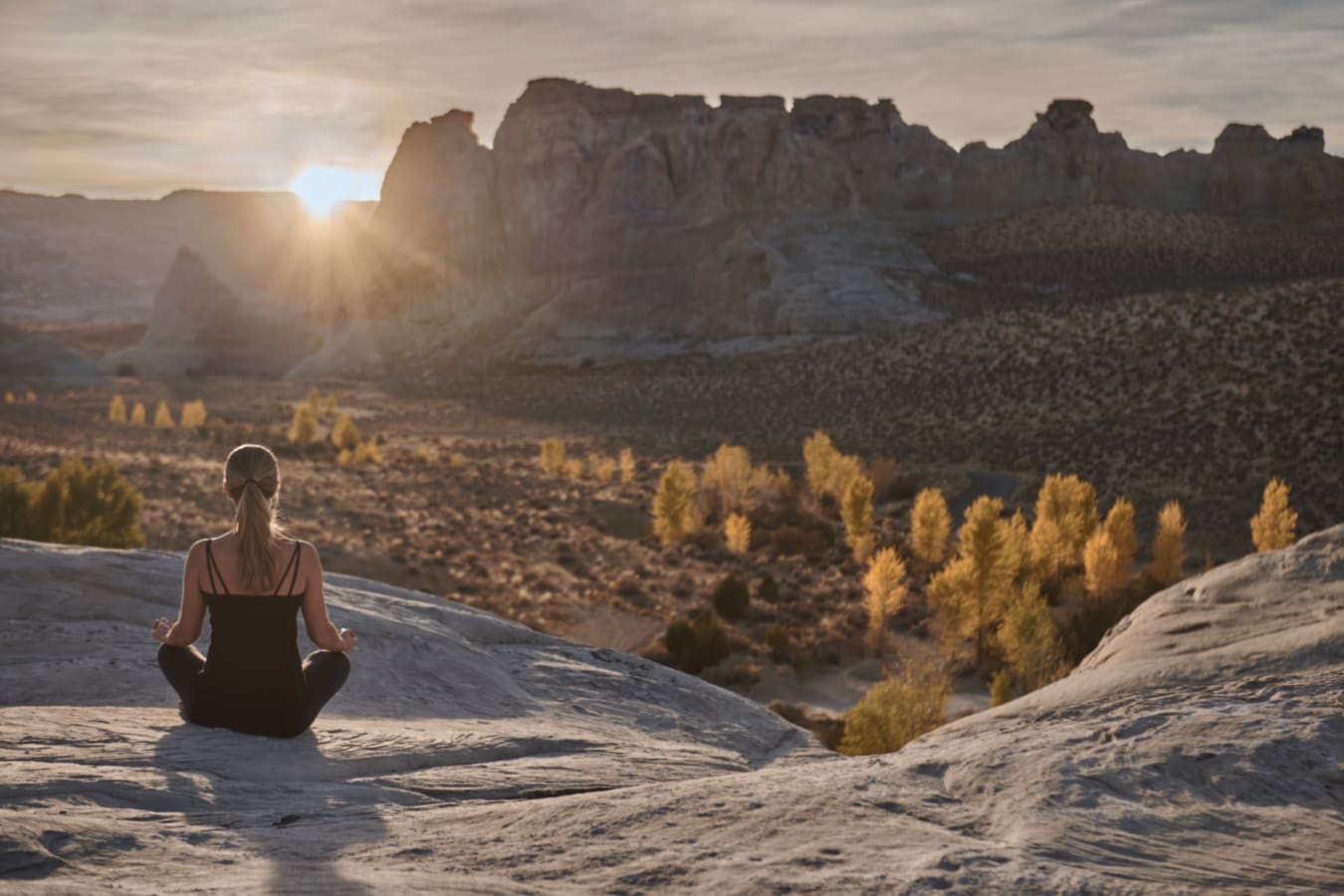 Wellness Yoga 