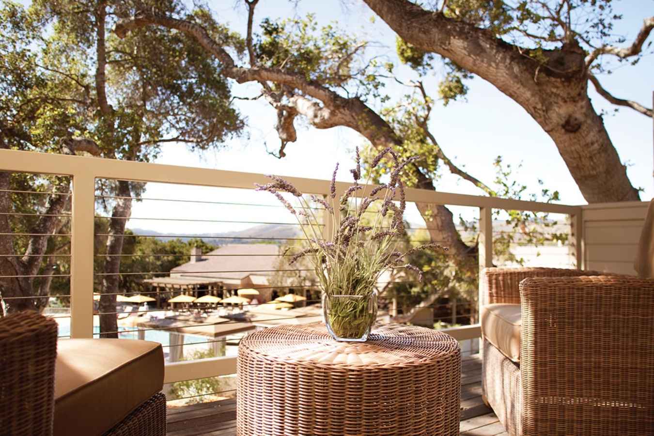 Relax in the sunshine  - Carmel Valley Ranch